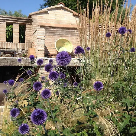 Olivella Villa Campagnano Di Roma