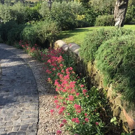 Olivella Campagnano Di Roma