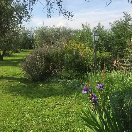 Olivella * Campagnano Di Roma