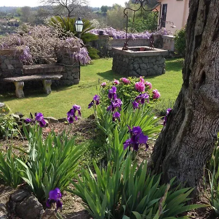 Villa Olivella Campagnano Di Roma