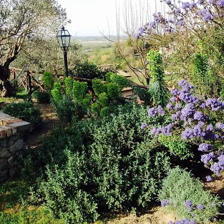 Olivella Campagnano Di Roma
