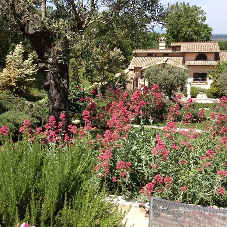 Villa Olivella Campagnano Di Roma