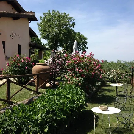 Olivella * Campagnano Di Roma