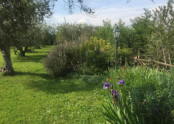 Olivella * Кампаньяно-ди-Рома